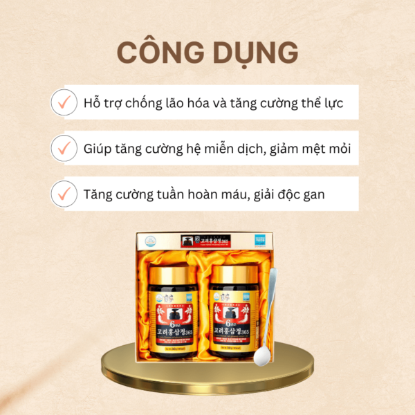 Cao Hồng Sâm 6 Năm 365 hộp 2 hũ Hàn Quốc ( 240gx2 hũ)