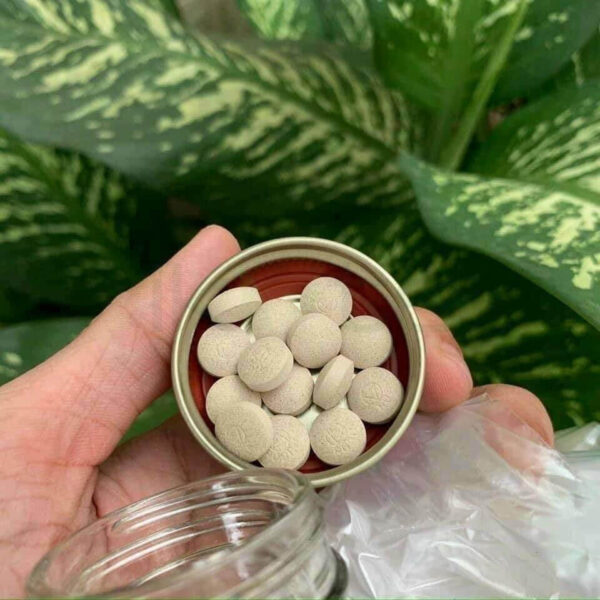 Viên uống bổ máu Rubina Nhật Bản hộp 180 viên